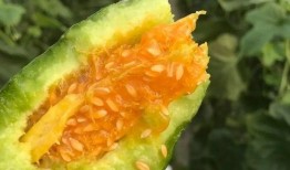 吃瓜网红 图片高清头像,揭秘吃瓜网红高清头像背后的魅力